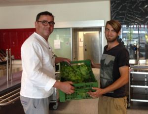 Produzent beliefert Großküche persönlich mit frischem Kopfsalat